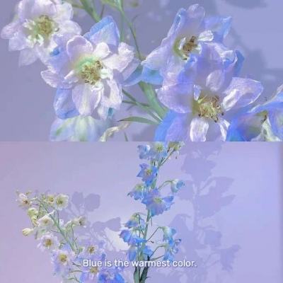 测试：爱情指数解析